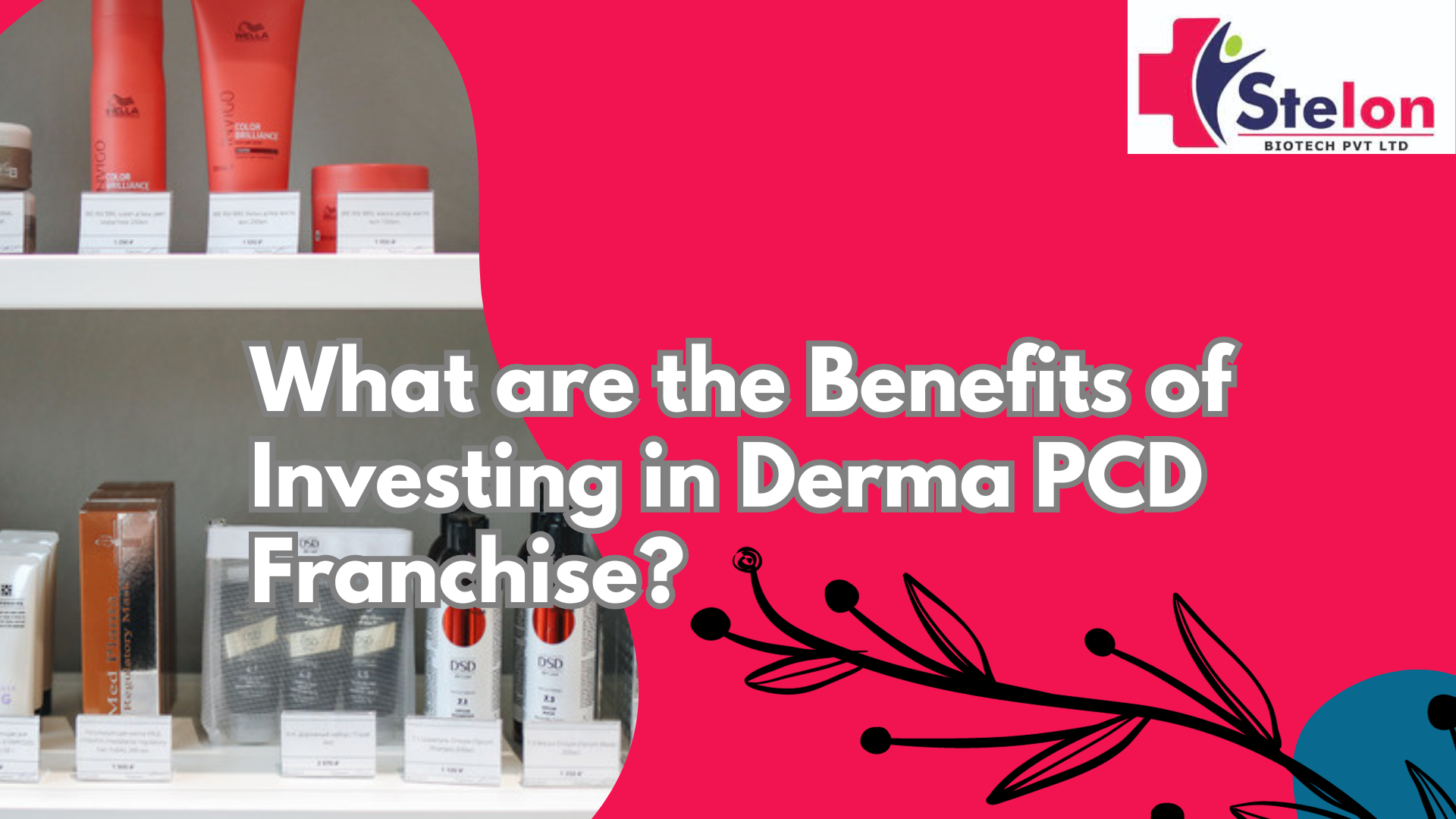What are the Benefits of Investing in Derma PCD Franchise?