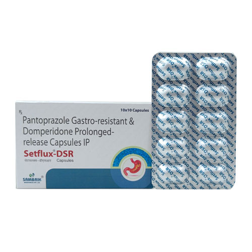SETFLUX-DSR SETFLUX-DSR